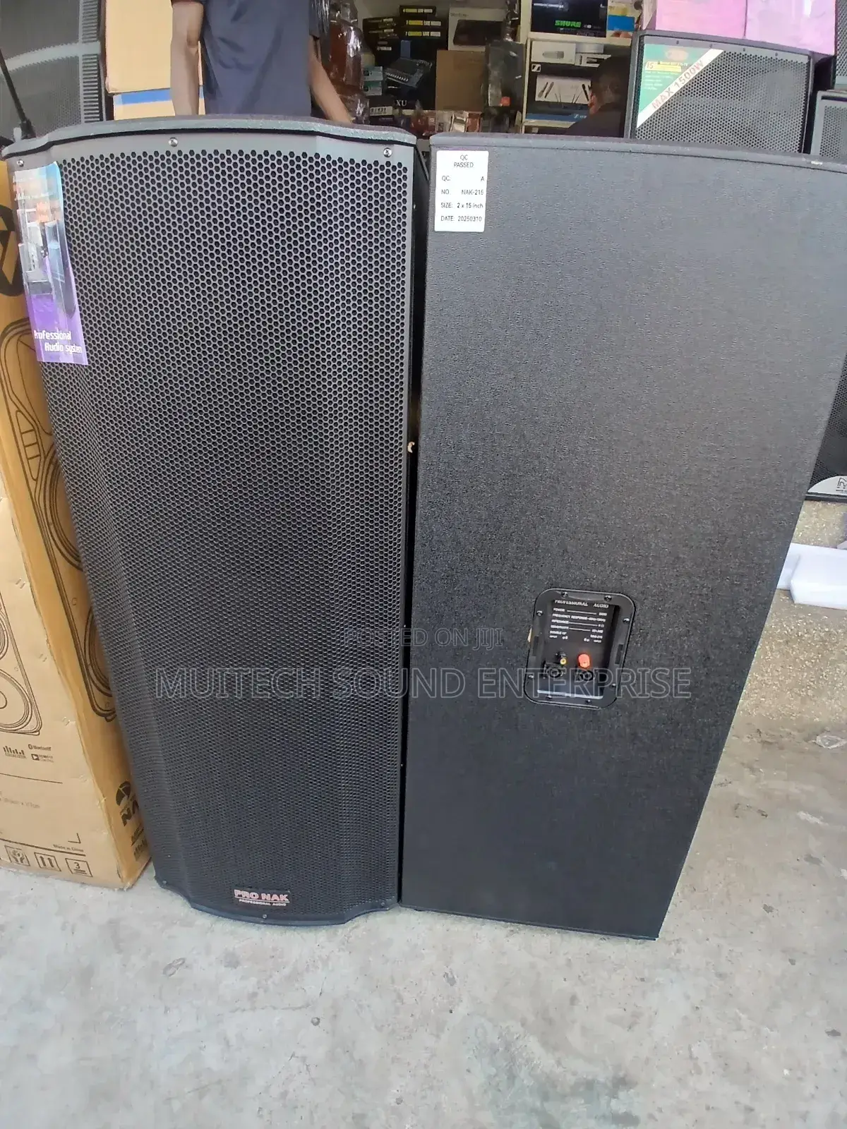 Pronak Fullrange Speaker
