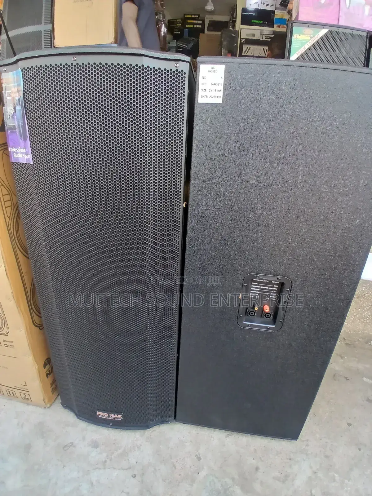 Pronak Fullrange Speaker