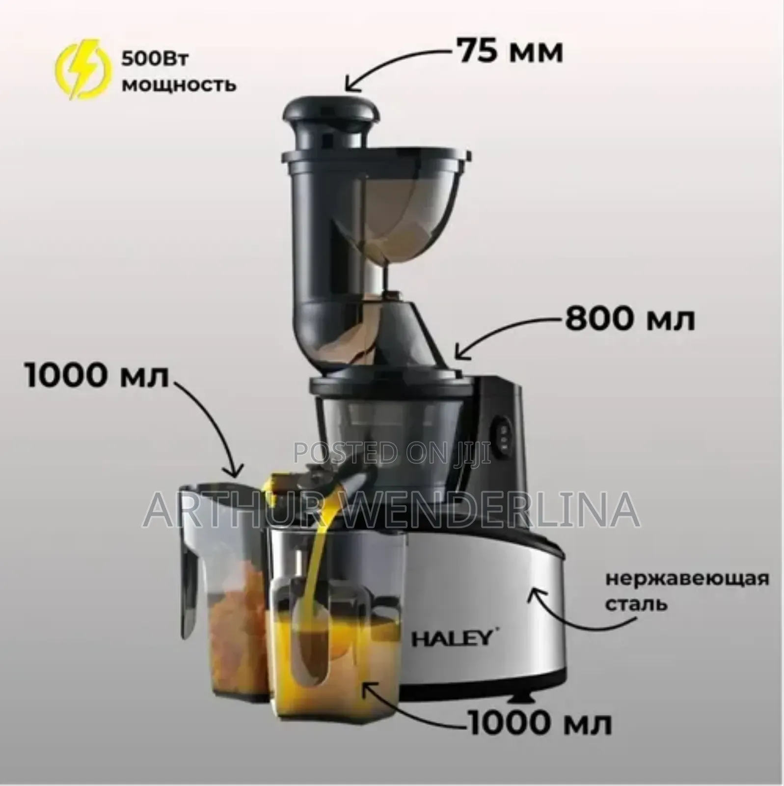 Haley Slow Juicer 500watt