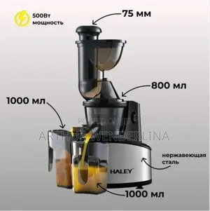 Haley Slow Juicer 500watt
