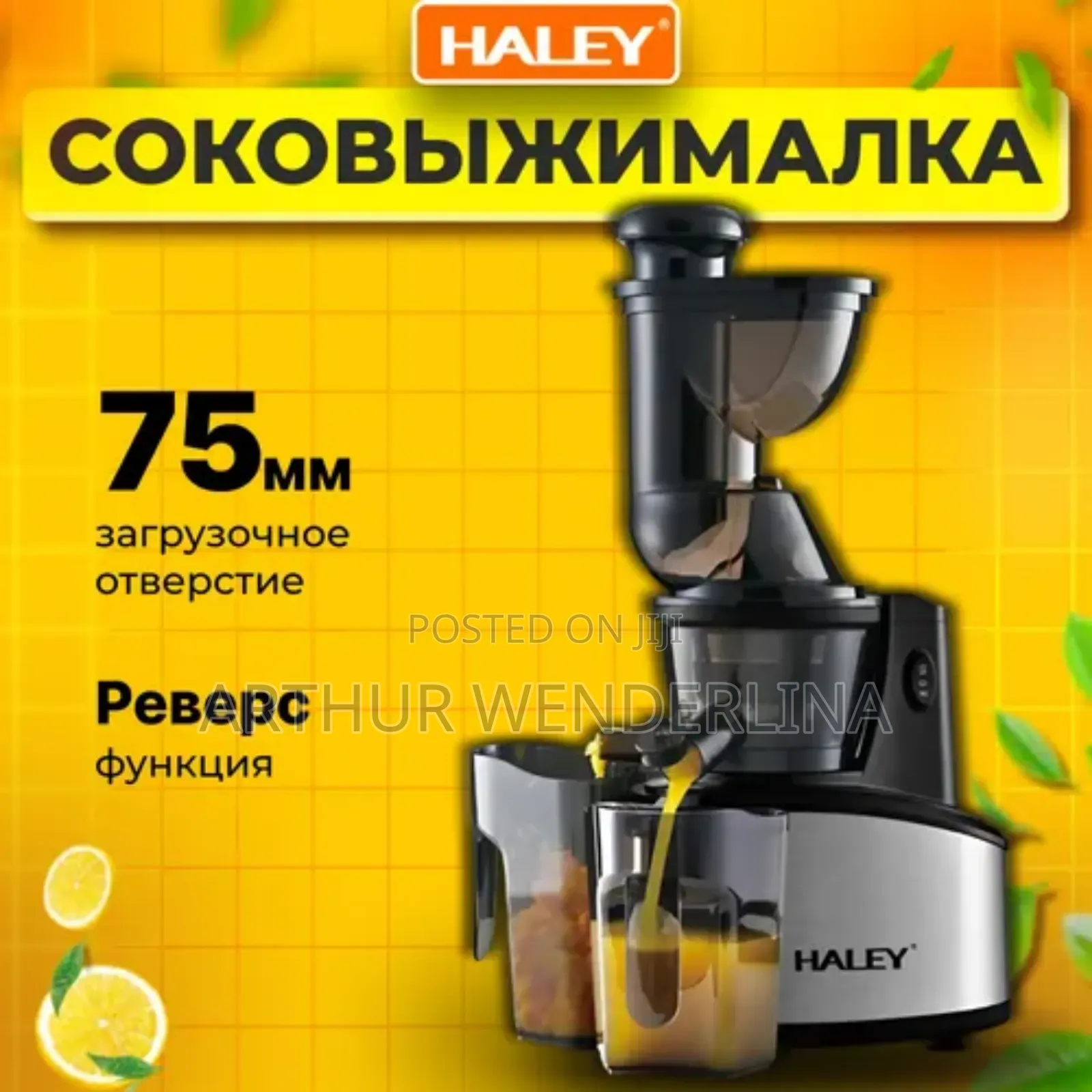 Haley Slow Juicer 500watt