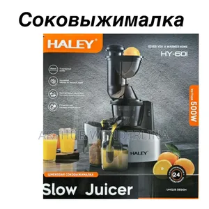 Haley Slow Juicer 500watt