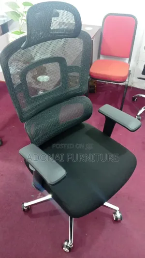 Office Chair (Orthopedic Black)