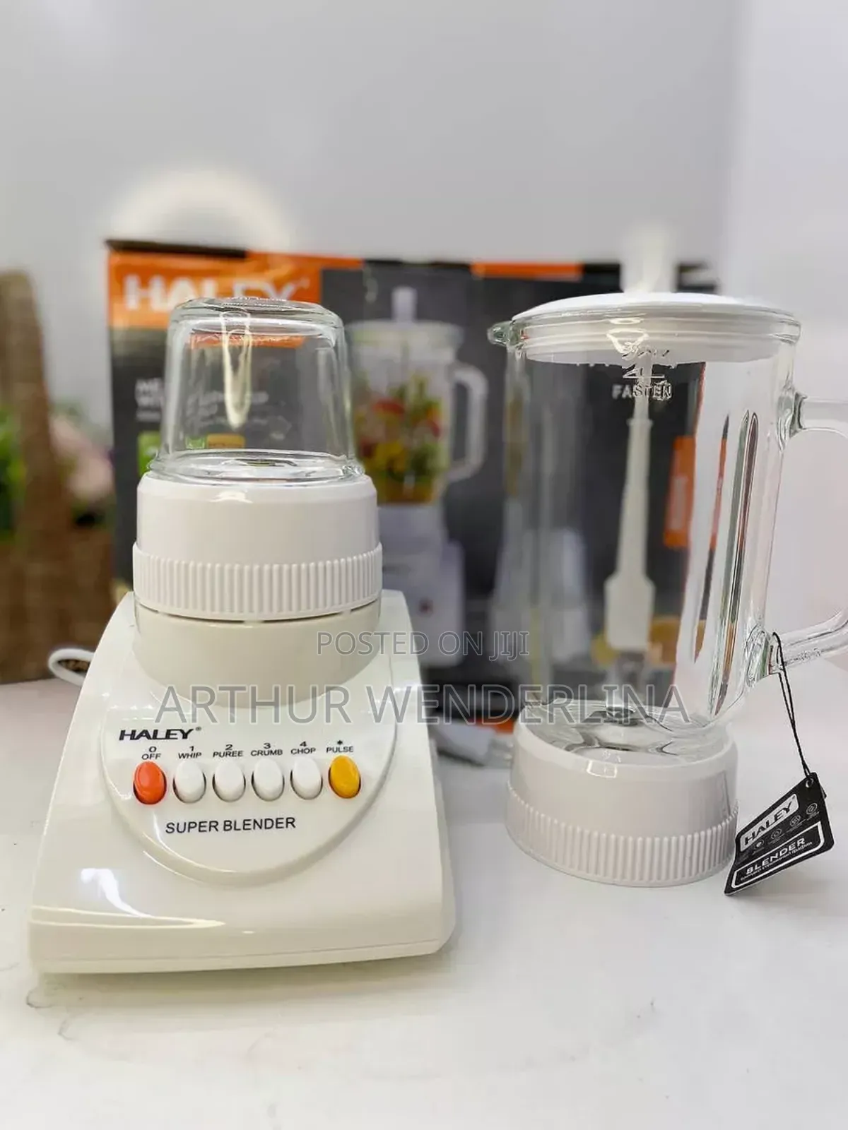 Haley 2 in 1 Blender