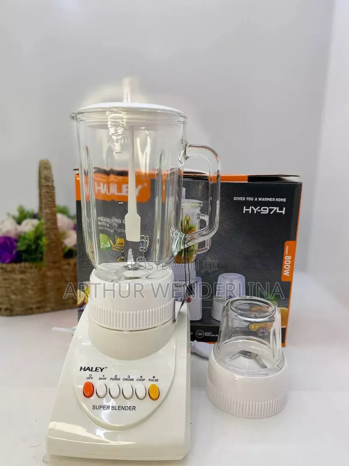 Haley 2 in 1 Blender