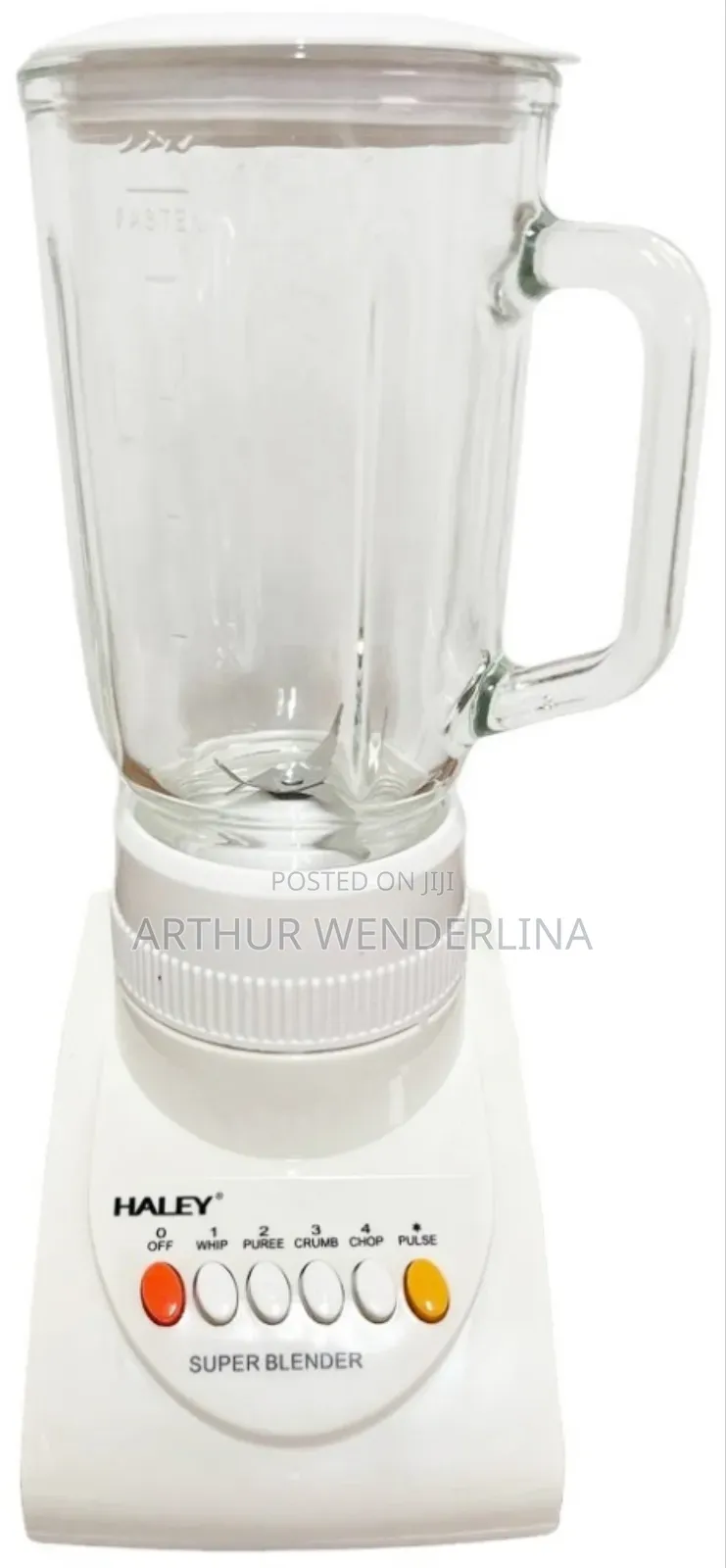 Haley 2 in 1 Blender