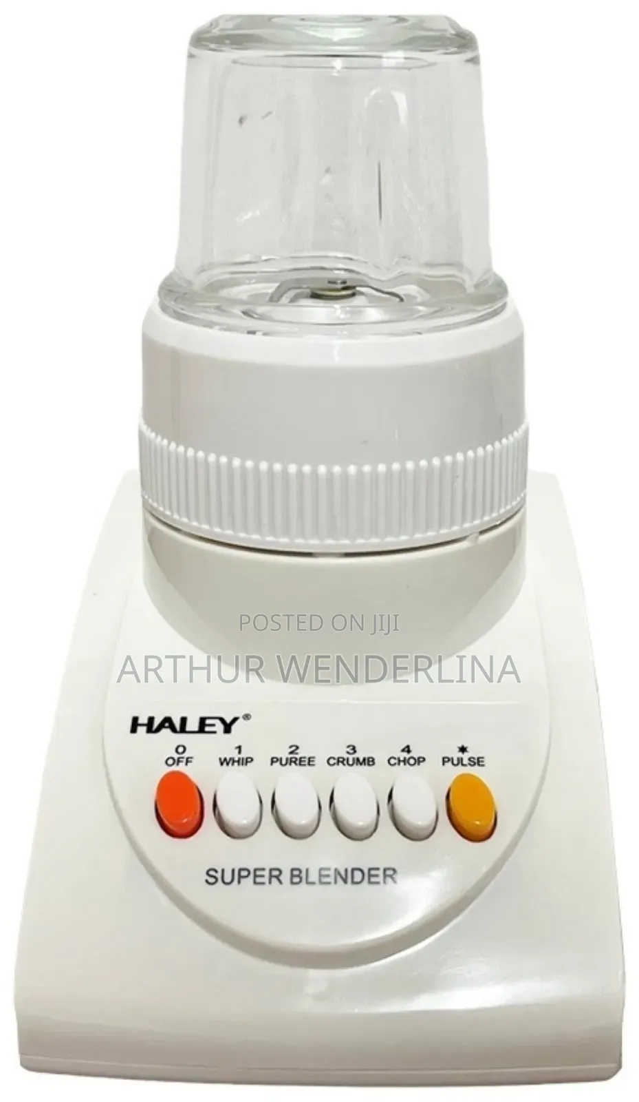 Haley 2 in 1 Blender