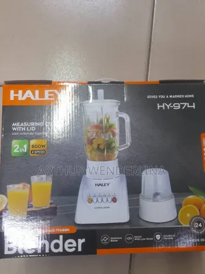 Haley 2 in 1 Blender