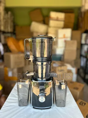 Electric Juicer