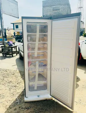 Nasco Standing Deep Freezer 262liters Freezer