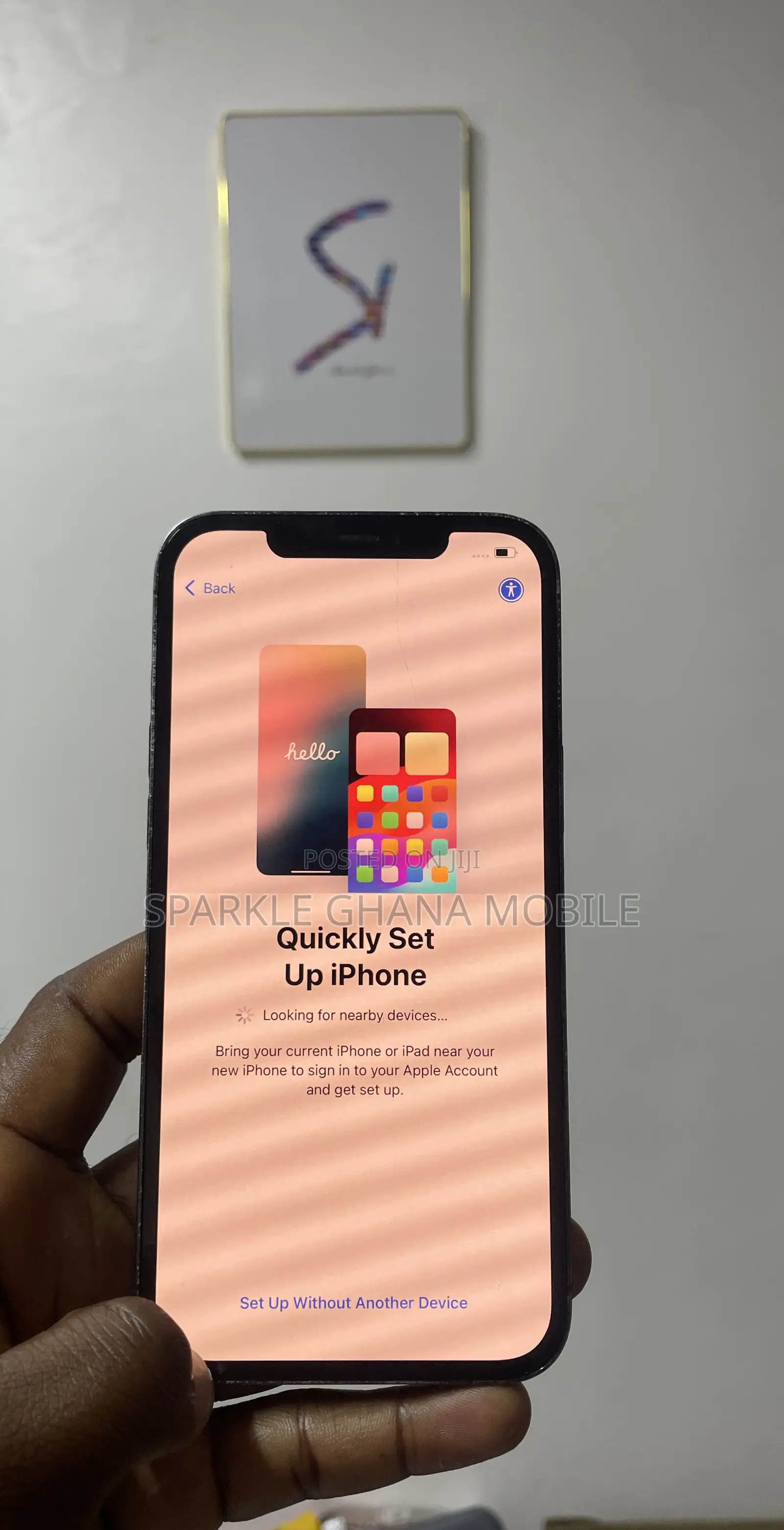 Apple iPhone 12 Pro Max Screen