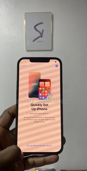 Apple iPhone 12 Pro Max Screen