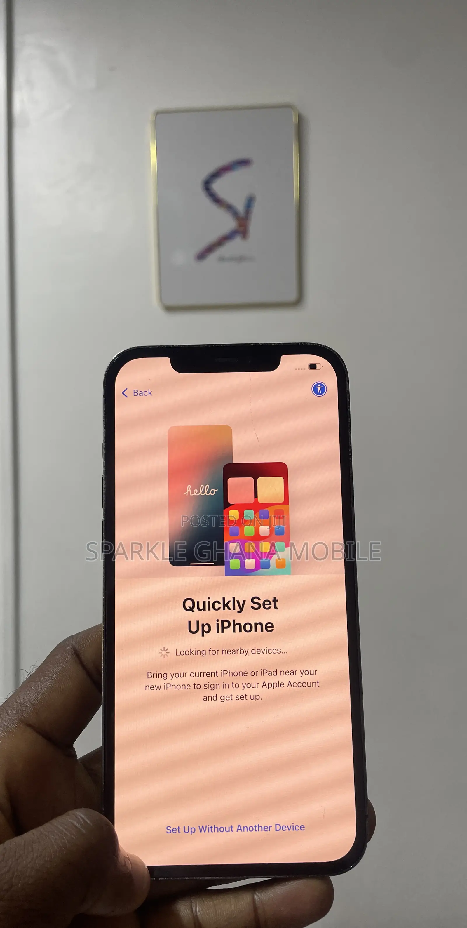 Apple iPhone 12 Pro Max Screen