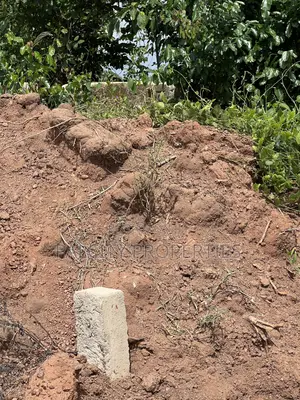 Full Plot of Land for Sale in Esereso Adagya