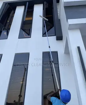Executive Mansion Cleaning Services Premium Professional