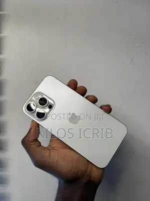 Apple iPhone 15 Pro Max 256 GB Silver
