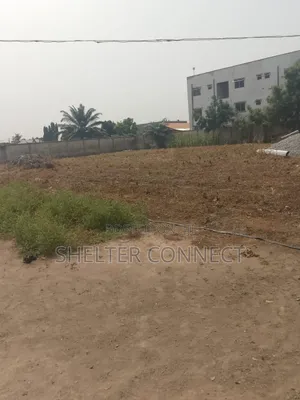 One and Half Plot of Land