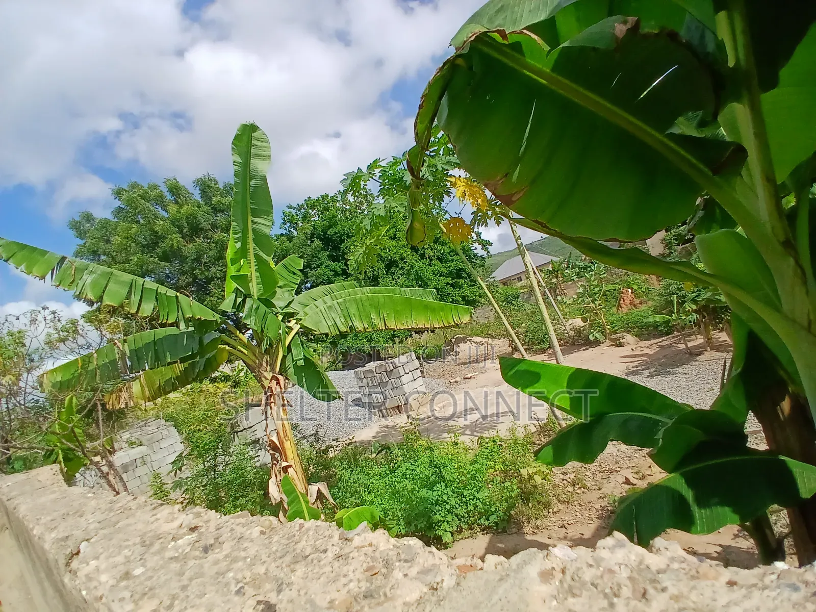 One and Half Plot of Land