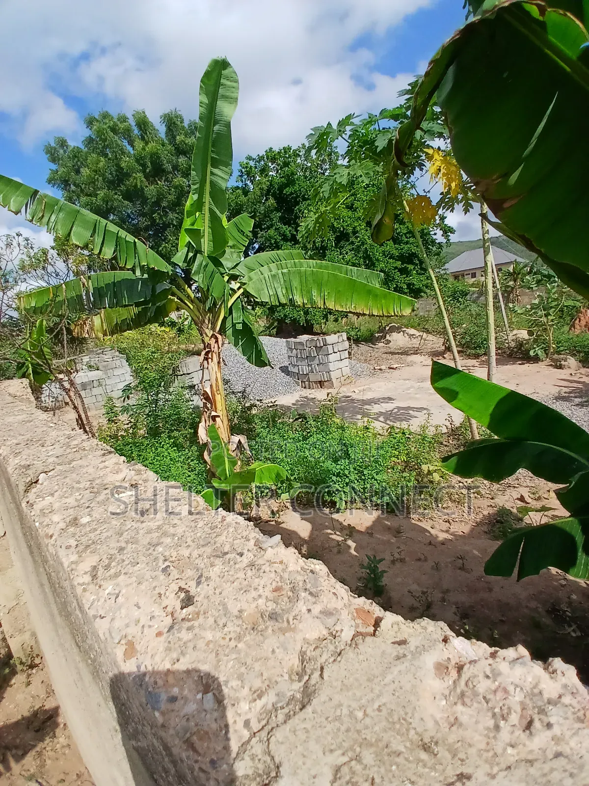 One and Half Plot of Land