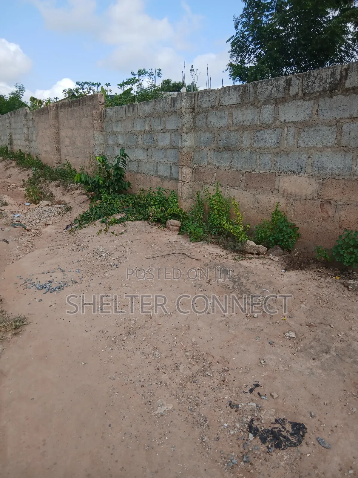 One and Half Plot of Land