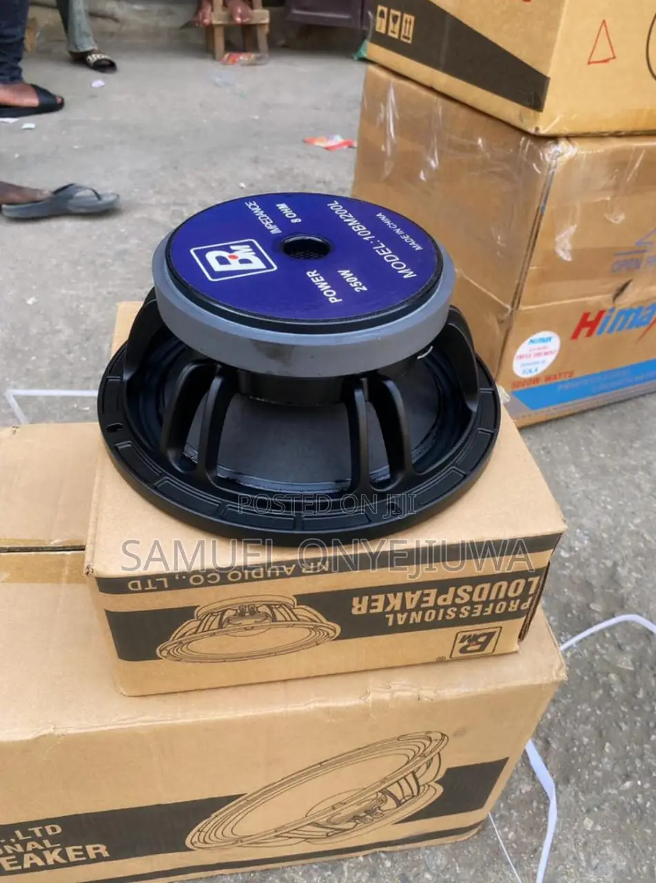 12 Inches Naked Speaker Big Magnet 8ohms. A Pair