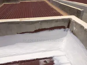 Secret Roof Leakage Treatment Expert Here