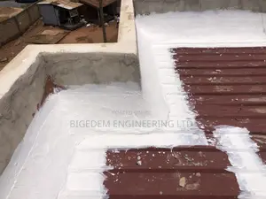 Secret Roof Leakage Treatment Expert Here