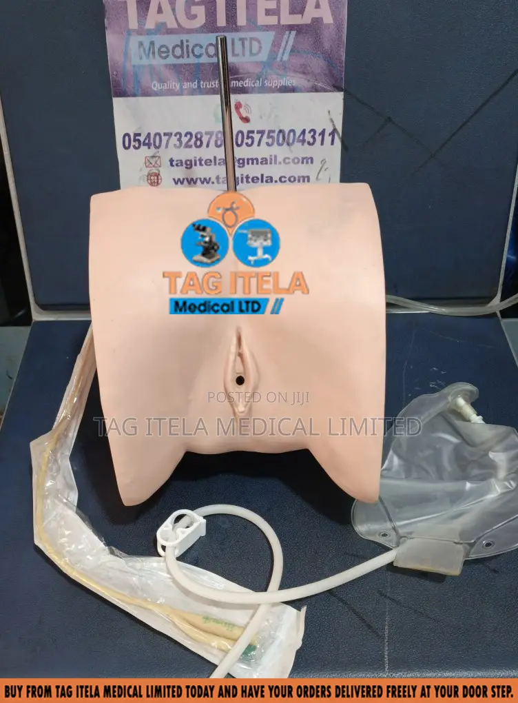 Catheterization Manikin (Female)