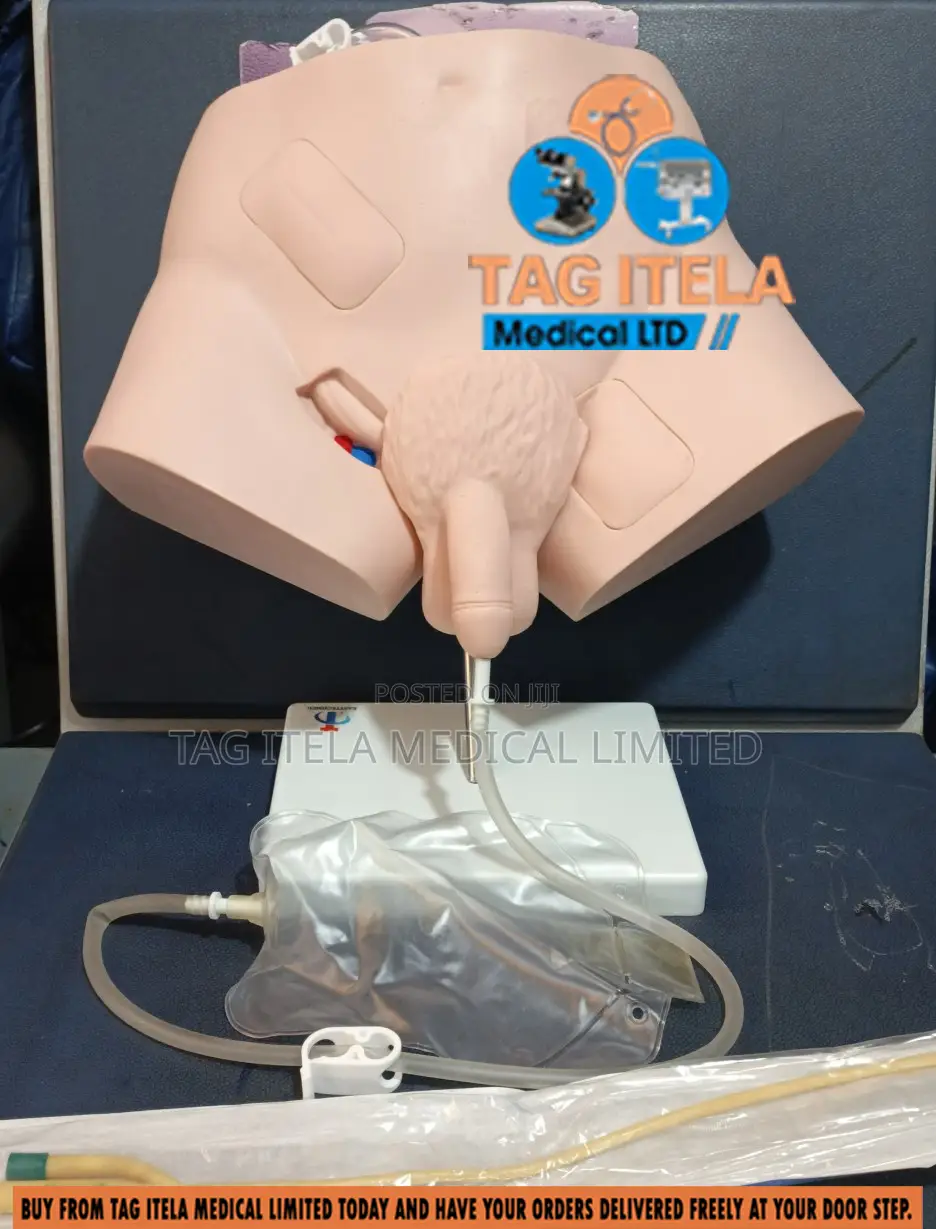 Catheterization Manikin (Male)