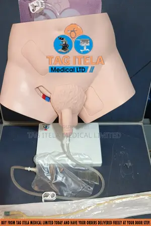 Catheterization Manikin (Male)