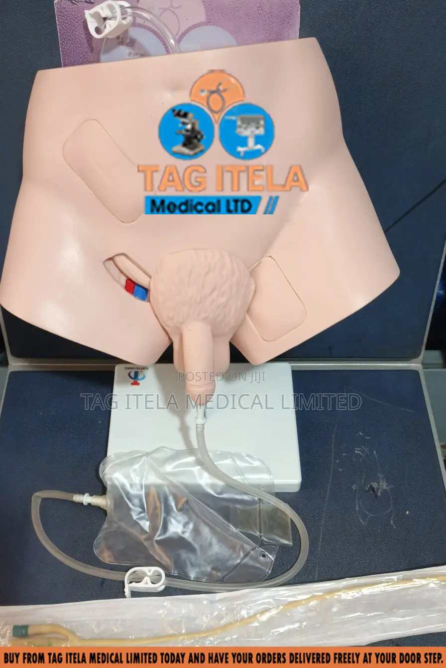 Catheterization Manikin (Male)