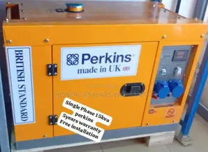 Attract Electric Flow With Perkins 15kva 16500watt Diesel