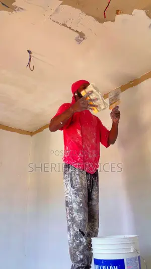 Skimming Ceilings Wall Concrete Ceilings Painting
