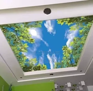 3d Ceiling Mural