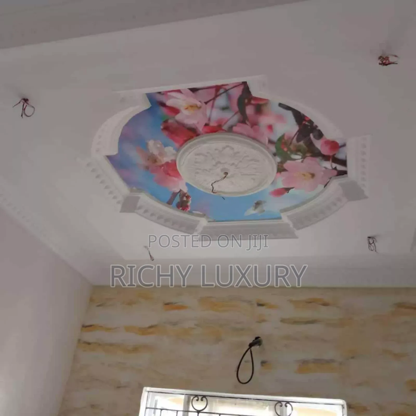 3d Ceiling Mural