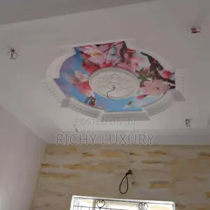 3d Ceiling Mural