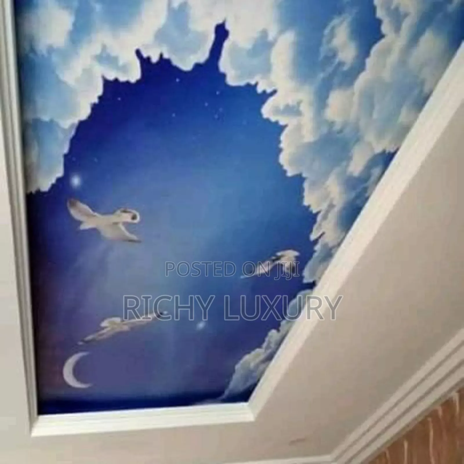 3d Ceiling Mural