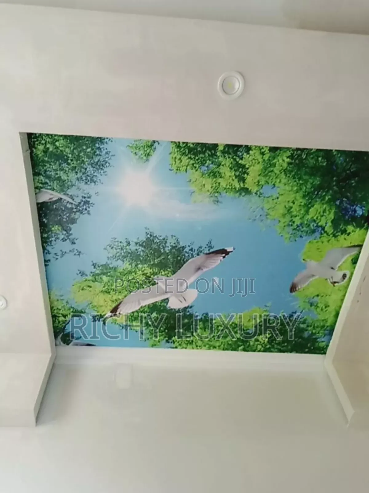 3d Ceiling Mural
