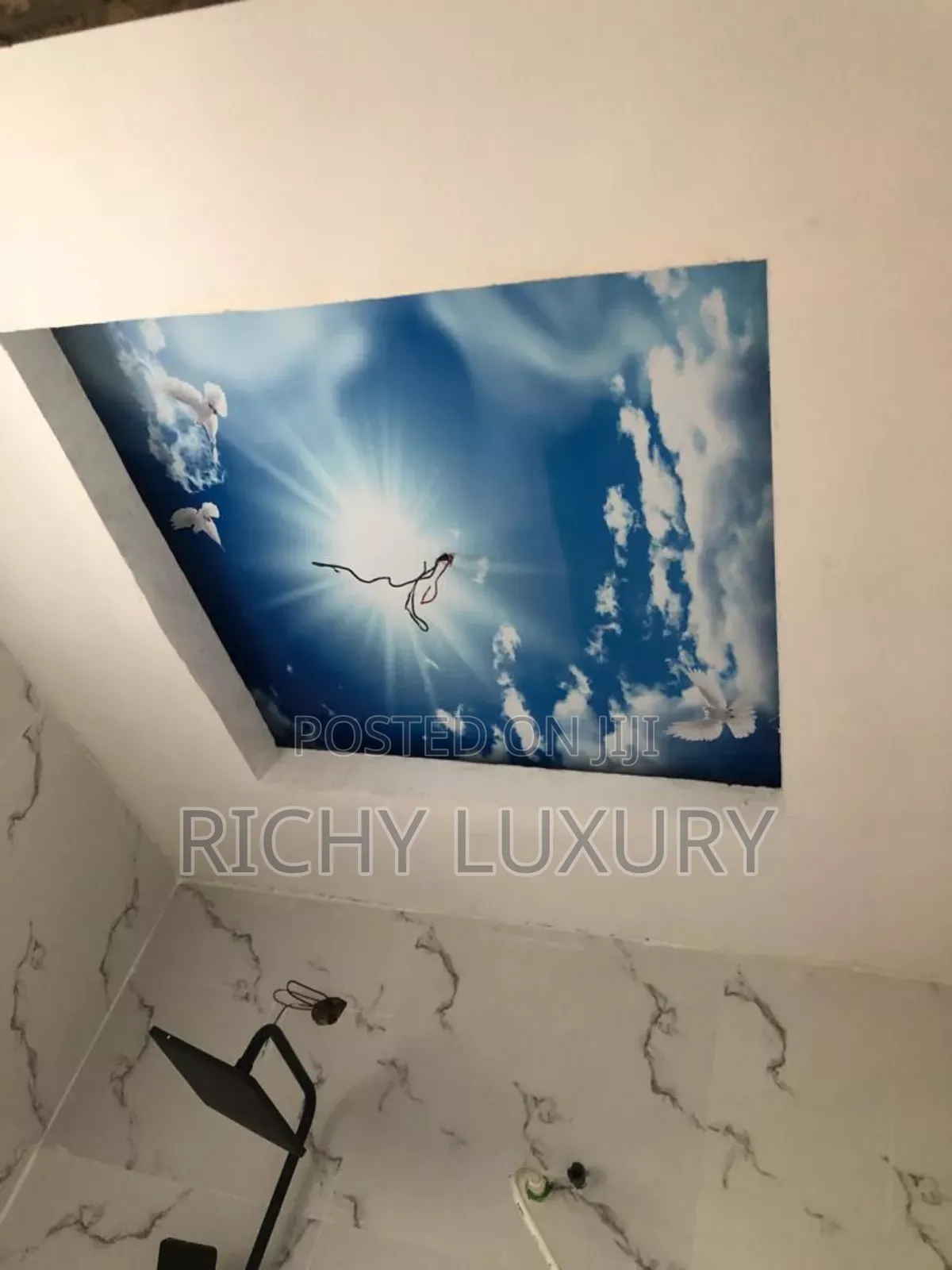 3d Ceiling Mural