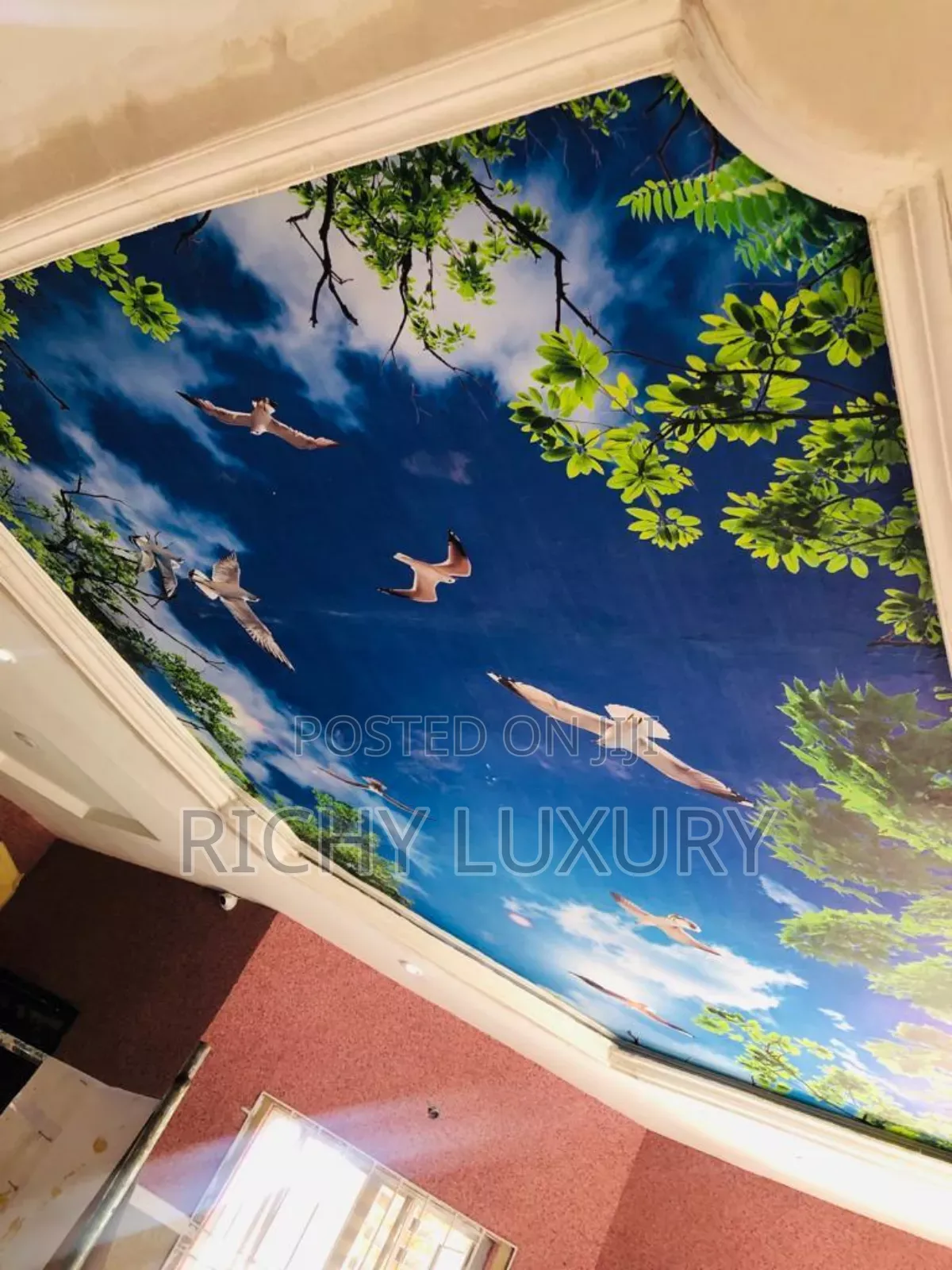 3d Ceiling Mural