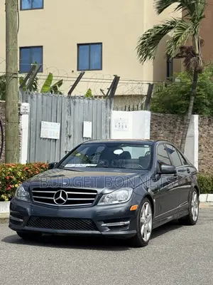 Photo - Mercedes-Benz C250 2014 Gray