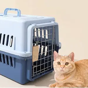 Carrier Bag