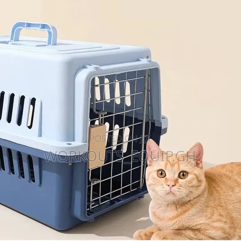 Carrier Bag