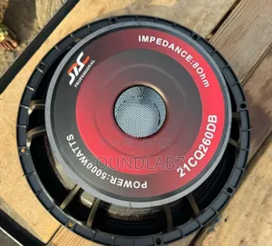 21inches Jac Naked Pair Of Speakers