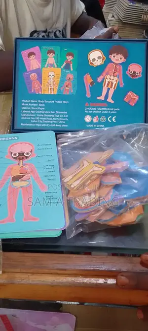 Boys/Girls Body Structure Puzzle