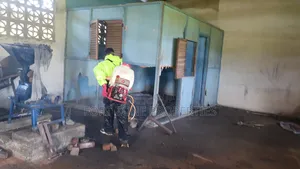 Schools Fumigation and Bedbugs Control With Cleantex