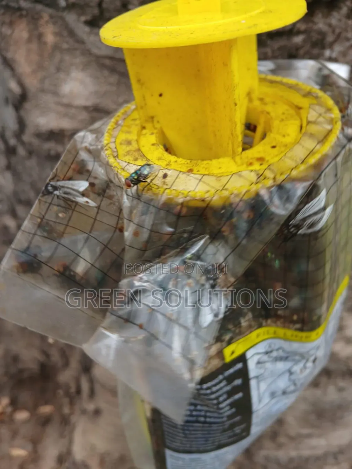 Houseflies Trap With Attractant
