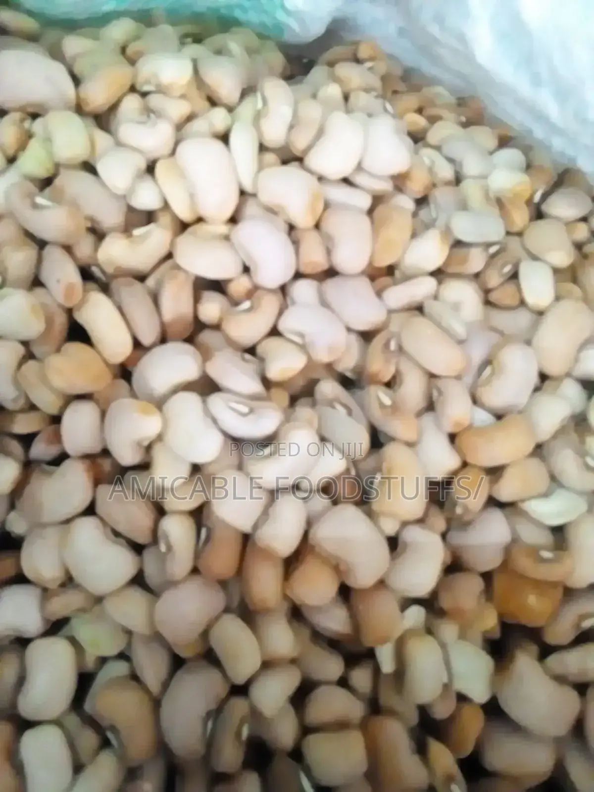 Nigerian Original Honey (Oloyin)Beans