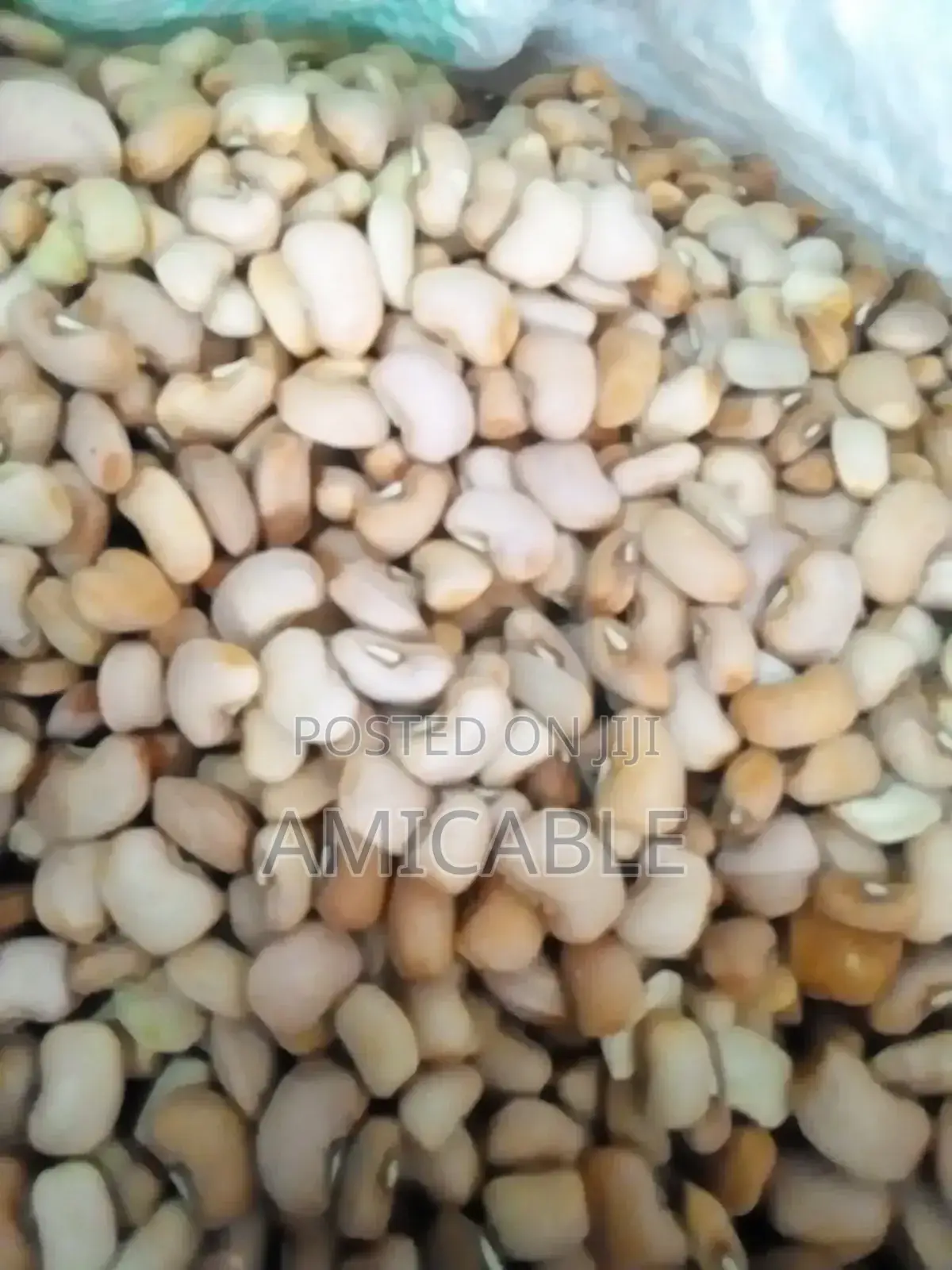 Nigerian Original Honey (Oloyin)Beans