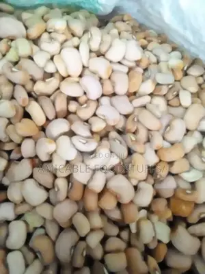 Photo - Nigerian Original Honey (Oloyin)Beans